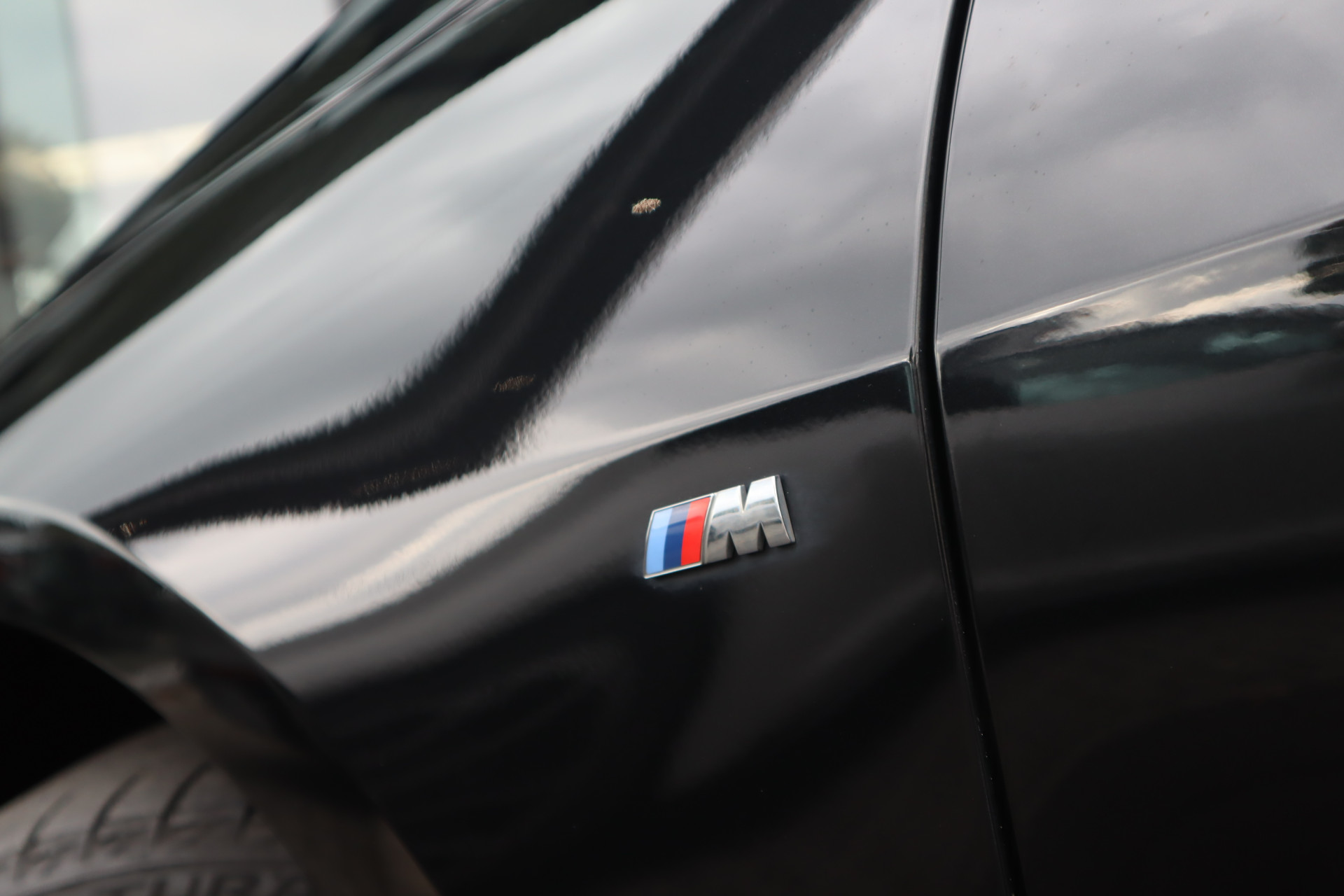 48244794-26.jpg